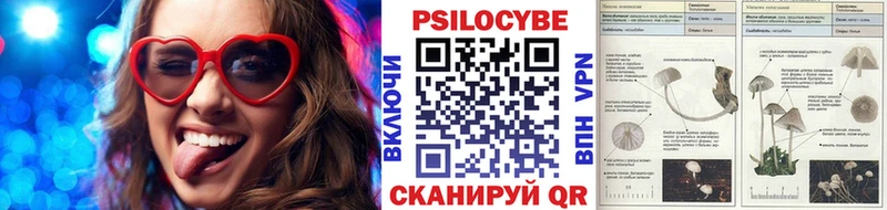 OMG как зайти Инза Псилоцибиновые грибы ЛСД