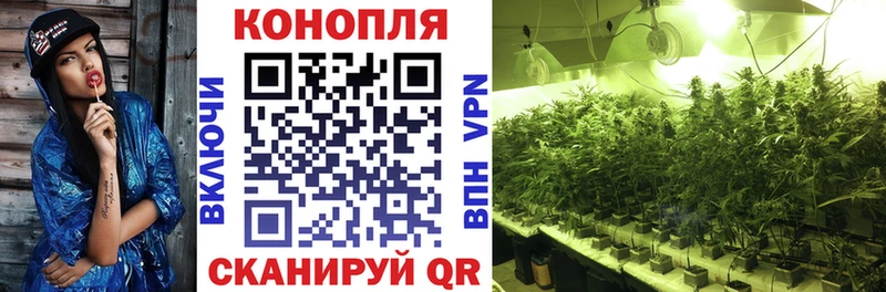 Марихуана гибрид МЕГА онион Инза